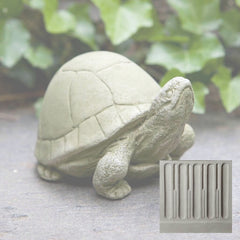 Campania Box Turtle