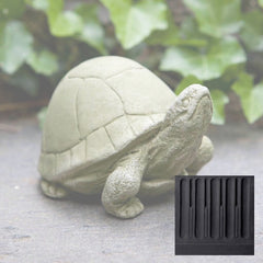 Campania Box Turtle