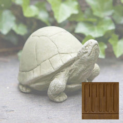 Campania Box Turtle