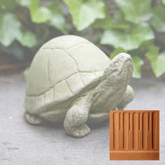 Campania Box Turtle