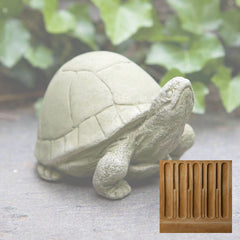 Campania Box Turtle