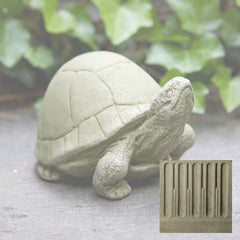 Campania Box Turtle