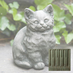 Campania Kitty