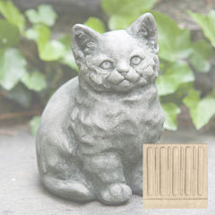 Campania Kitty