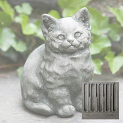 Campania Kitty