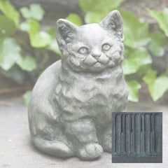 Campania Kitty
