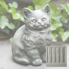 Campania Kitty