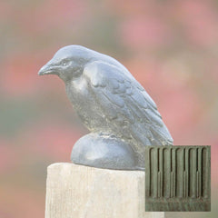 Campania Small Raven