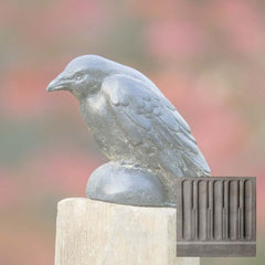 Campania Small Raven
