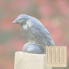 Campania Small Raven