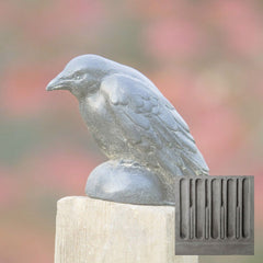 Campania Small Raven
