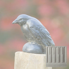 Campania Small Raven