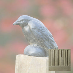 Campania Small Raven