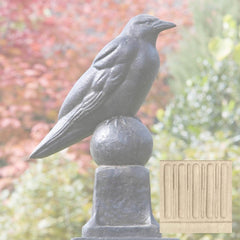 Campania Raven