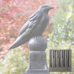 Campania Raven