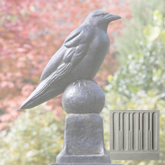 Campania Raven