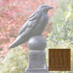 Campania Raven