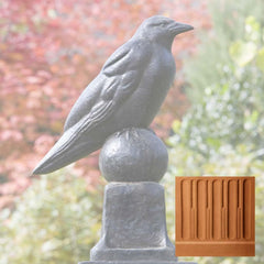 Campania Raven