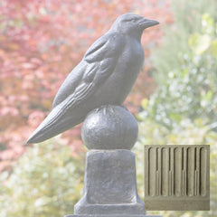 Campania Raven
