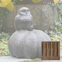 Campania Owl on Pumpkin