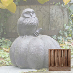 Campania Owl on Pumpkin