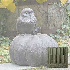 Campania Owl on Pumpkin