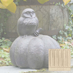 Campania Owl on Pumpkin