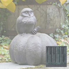 Campania Owl on Pumpkin