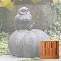 Campania Owl on Pumpkin