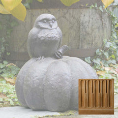Campania Owl on Pumpkin