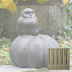 Campania Owl on Pumpkin
