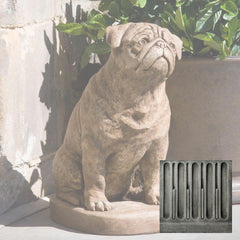 Campania Mugsy