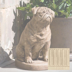 Campania Mugsy