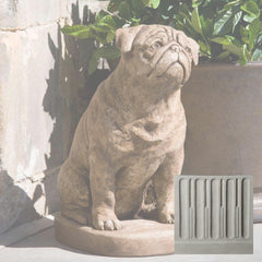 Campania Mugsy