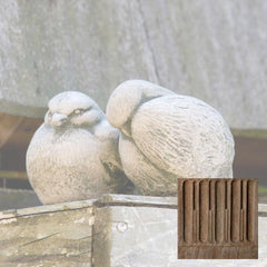 Campania Duet