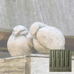 Campania Duet