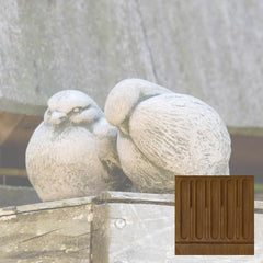 Campania Duet