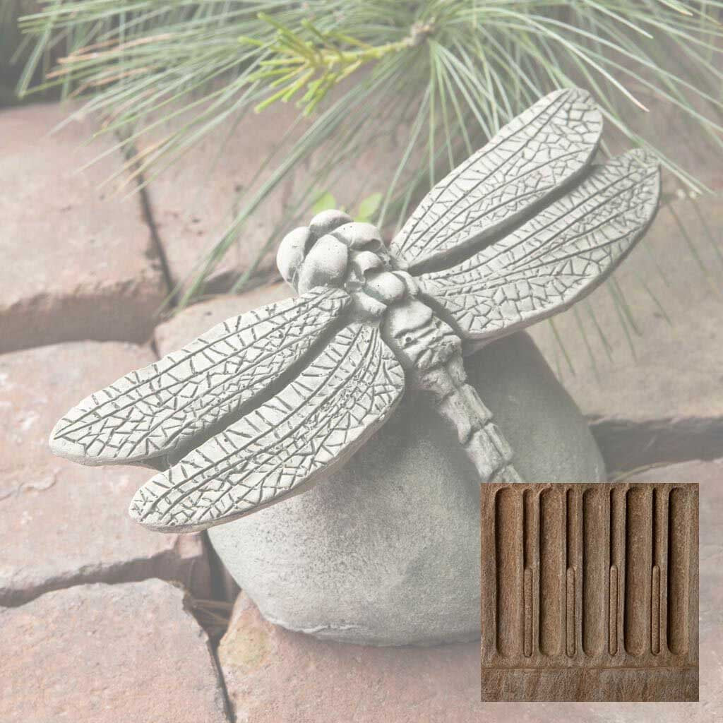 Campania Dragonfly