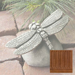 Campania Dragonfly
