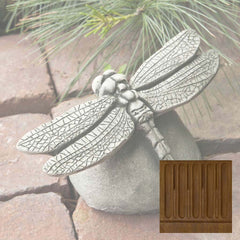 Campania Dragonfly