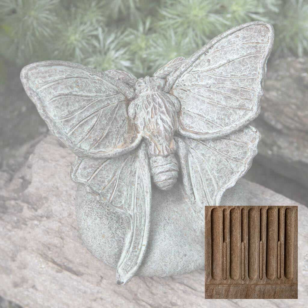 Campania Lunar Moth