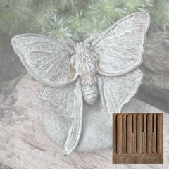Campania Lunar Moth