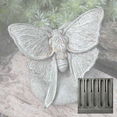 Campania Lunar Moth