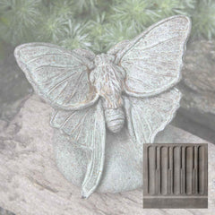Campania Lunar Moth
