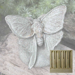 Campania Lunar Moth