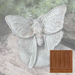 Campania Lunar Moth