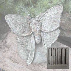 Campania Lunar Moth