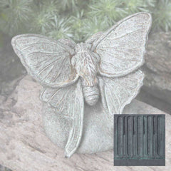 Campania Lunar Moth