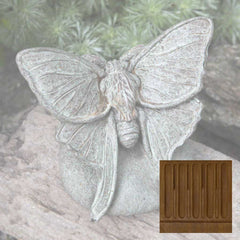Campania Lunar Moth