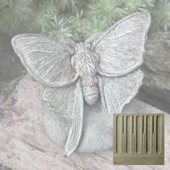Campania Lunar Moth